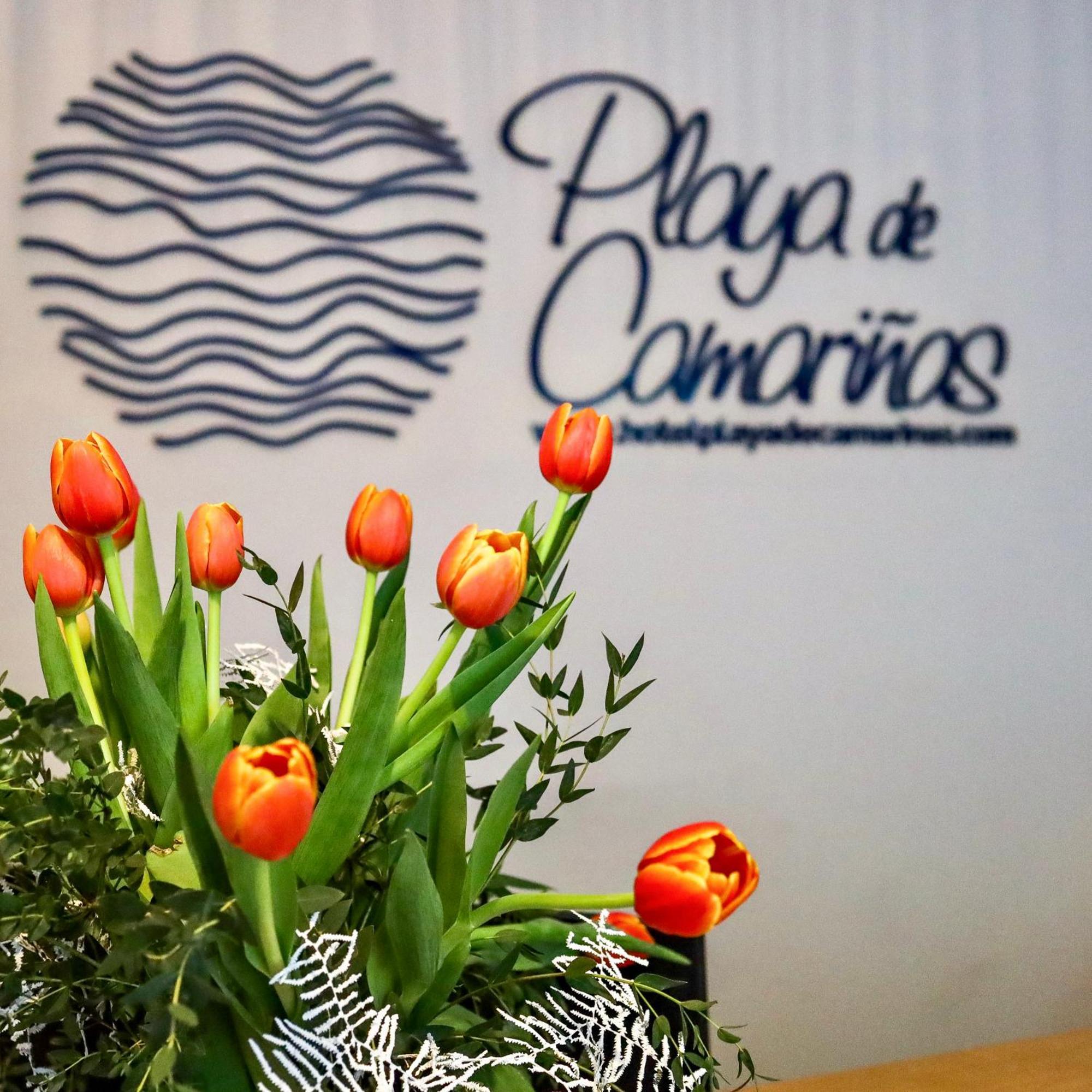 Hotel Playa De Camarinas